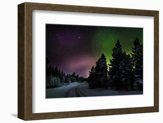 Aurora Borealis or Northern Lights, Lapland, Sweden-null-Framed Photographic Print