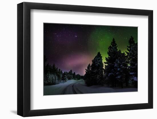 Aurora Borealis or Northern Lights, Lapland, Sweden-null-Framed Photographic Print