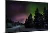 Aurora Borealis or Northern Lights, Lapland, Sweden-null-Mounted Photographic Print