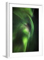 Aurora Borealis or Northern Lights, Lapland, Sweden-Arctic-Images-Framed Photographic Print