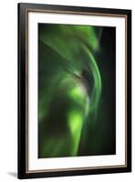 Aurora Borealis or Northern Lights, Lapland, Sweden-Arctic-Images-Framed Photographic Print