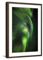 Aurora Borealis or Northern Lights, Lapland, Sweden-Arctic-Images-Framed Photographic Print