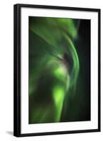 Aurora Borealis or Northern Lights, Lapland, Sweden-Arctic-Images-Framed Photographic Print