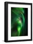 Aurora Borealis or Northern Lights, Lapland, Sweden-Arctic-Images-Framed Photographic Print