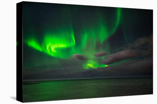 Aurora Borealis or Northern Lights, Reykjavik, Iceland-null-Stretched Canvas