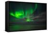 Aurora Borealis or Northern Lights, Reykjavik, Iceland-null-Framed Stretched Canvas