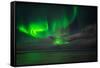 Aurora Borealis or Northern Lights, Reykjavik, Iceland-null-Framed Stretched Canvas