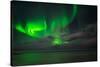 Aurora Borealis or Northern Lights, Reykjavik, Iceland-null-Stretched Canvas