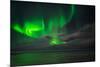 Aurora Borealis or Northern Lights, Reykjavik, Iceland-null-Mounted Photographic Print