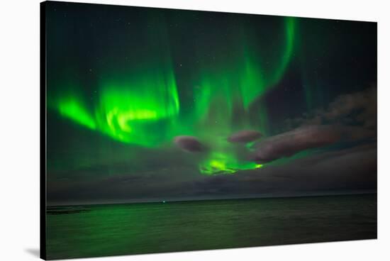Aurora Borealis or Northern Lights, Reykjavik, Iceland-null-Stretched Canvas