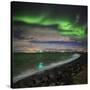 Aurora Borealis or Northern Lights, Reykjavik, Iceland-null-Stretched Canvas