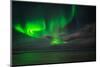 Aurora Borealis or Northern Lights, Reykjavik, Iceland-null-Mounted Premium Photographic Print