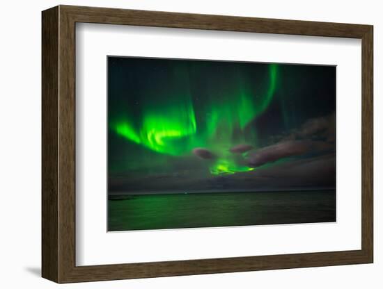 Aurora Borealis or Northern Lights, Reykjavik, Iceland-null-Framed Photographic Print