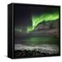 Aurora Borealis or Northern Lights, Seltjarnarnes, Reykjavik, Iceland-Ragnar Th Sigurdsson-Framed Stretched Canvas