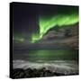 Aurora Borealis or Northern Lights, Seltjarnarnes, Reykjavik, Iceland-Ragnar Th Sigurdsson-Stretched Canvas