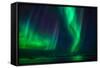 Aurora Borealis or Northern Lights, Stykkisholmur, Snaefellsnes Peninsula, Iceland-Ragnar Th Sigurdsson-Framed Stretched Canvas