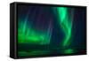 Aurora Borealis or Northern Lights, Stykkisholmur, Snaefellsnes Peninsula, Iceland-Ragnar Th Sigurdsson-Framed Stretched Canvas