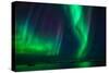 Aurora Borealis or Northern Lights, Stykkisholmur, Snaefellsnes Peninsula, Iceland-Ragnar Th Sigurdsson-Stretched Canvas