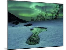 Aurora Borealis Over a Frozen River, Norway-Stocktrek Images-Mounted Photographic Print