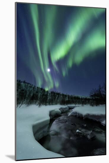 Aurora Borealis over Blafjellelva River in Troms County, Norway-Stocktrek Images-Mounted Art Print