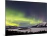 Aurora Borealis Over Bove Island, Yukon, Canada-Stocktrek Images-Mounted Photographic Print