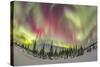 Aurora Borealis over Churchill, Manitoba, Canada-Stocktrek Images-Stretched Canvas