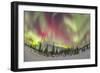 Aurora Borealis over Churchill, Manitoba, Canada-Stocktrek Images-Framed Photographic Print