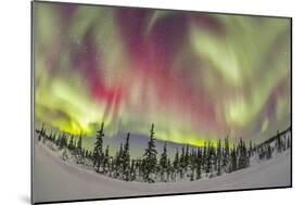 Aurora Borealis over Churchill, Manitoba, Canada-Stocktrek Images-Mounted Photographic Print