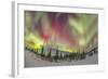 Aurora Borealis over Churchill, Manitoba, Canada-Stocktrek Images-Framed Photographic Print