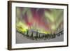 Aurora Borealis over Churchill, Manitoba, Canada-Stocktrek Images-Framed Photographic Print