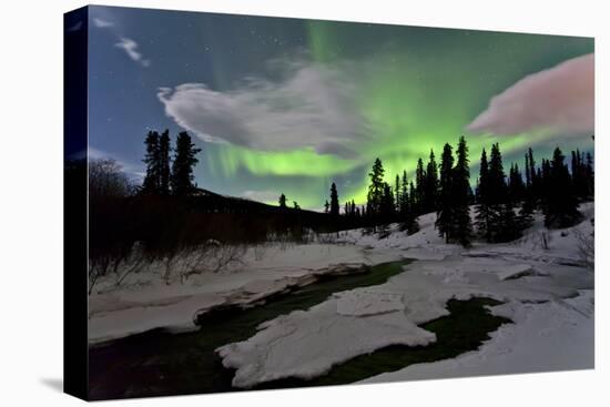 Aurora Borealis over Creek, Yukon, Canada-null-Stretched Canvas