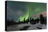 Aurora Borealis over Creek, Yukon, Canada-null-Stretched Canvas