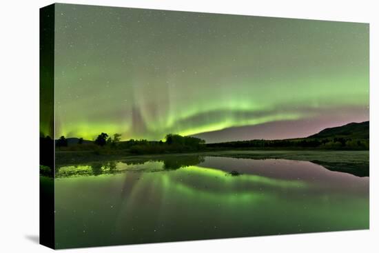 Aurora Borealis over Fish Lake, Whitehorse, Yukon, Canada-null-Stretched Canvas