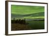 Aurora Borealis over Fish Lake, Yukon, Canada-null-Framed Photographic Print