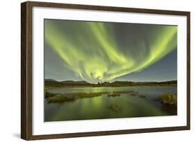 Aurora Borealis over Fish Lake, Yukon, Canada-null-Framed Photographic Print