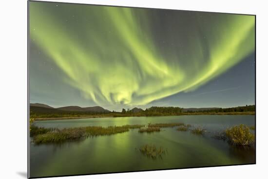 Aurora Borealis over Fish Lake, Yukon, Canada-null-Mounted Photographic Print