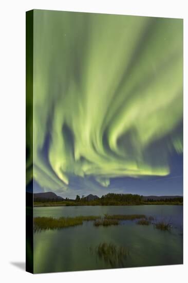 Aurora Borealis over Fish Lake, Yukon, Canada-null-Stretched Canvas