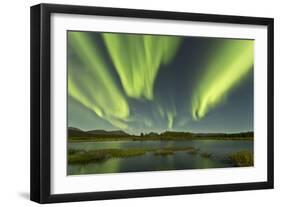 Aurora Borealis over Fish Lake, Yukon, Canada-null-Framed Photographic Print