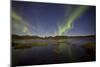 Aurora Borealis over Fish Lake, Yukon, Canada-null-Mounted Photographic Print