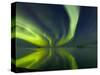 Aurora Borealis over Lake Thorisvatn-null-Stretched Canvas