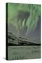 Aurora Borealis over Mountain, Annie Lake, Yukon, Canada-null-Stretched Canvas