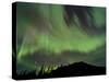 Aurora Borealis over Mountain, Marsh Lake, Yukon, Canada-null-Stretched Canvas