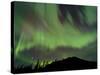 Aurora Borealis over Mountain, Marsh Lake, Yukon, Canada-null-Stretched Canvas