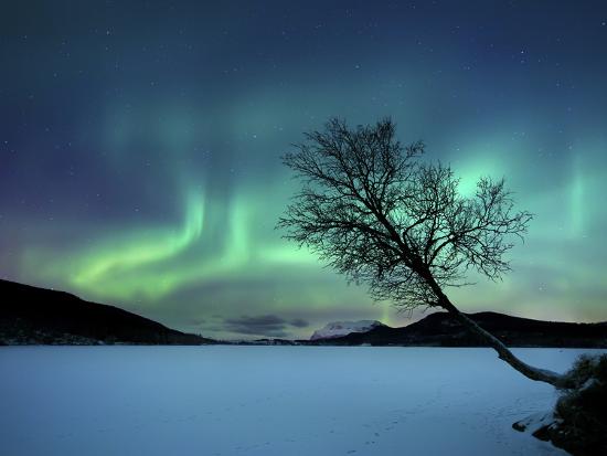 Aurora Borealis over Sandvannet Lake in Troms County, Norway-Stocktrek Images-Stretched Canvas