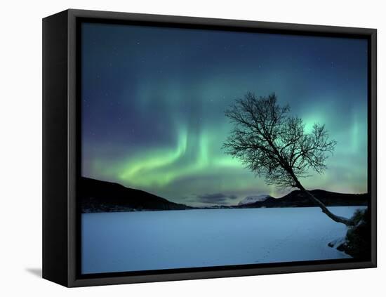 Aurora Borealis over Sandvannet Lake in Troms County, Norway-Stocktrek Images-Framed Stretched Canvas