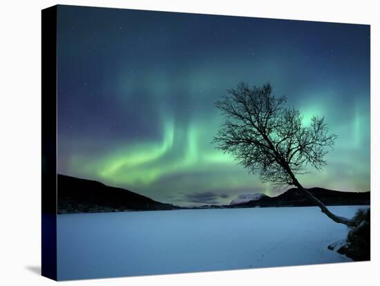 Aurora Borealis over Sandvannet Lake in Troms County, Norway-Stocktrek Images-Stretched Canvas