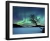 Aurora Borealis over Sandvannet Lake in Troms County, Norway-Stocktrek Images-Framed Premium Photographic Print