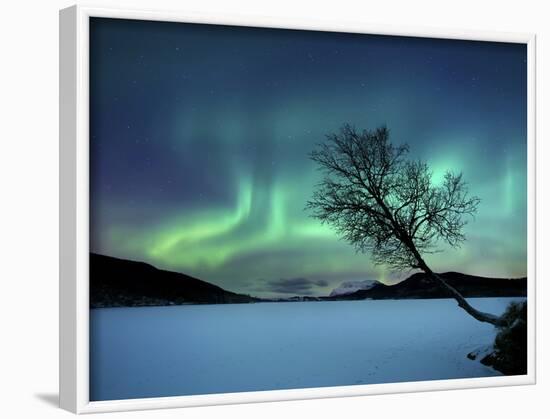 Aurora Borealis over Sandvannet Lake in Troms County, Norway-Stocktrek Images-Framed Photographic Print