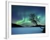 Aurora Borealis over Sandvannet Lake in Troms County, Norway-Stocktrek Images-Framed Photographic Print