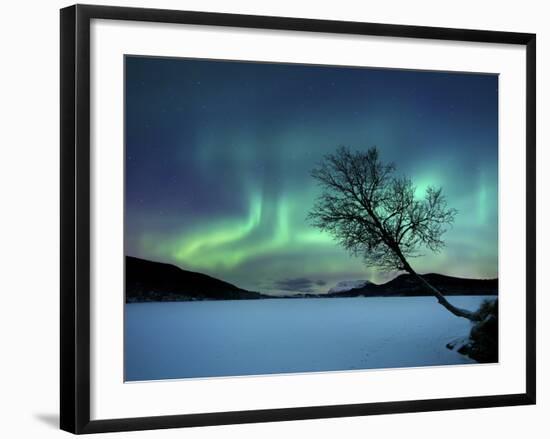 Aurora Borealis over Sandvannet Lake in Troms County, Norway-Stocktrek Images-Framed Photographic Print